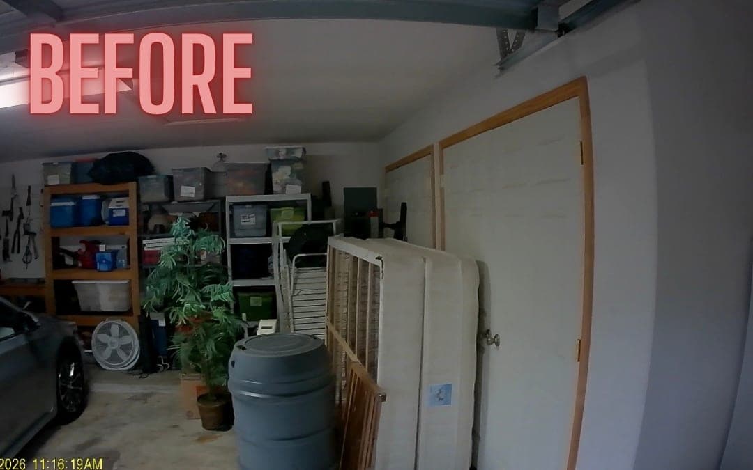 Before: a garage with shelving, a plant and panels
