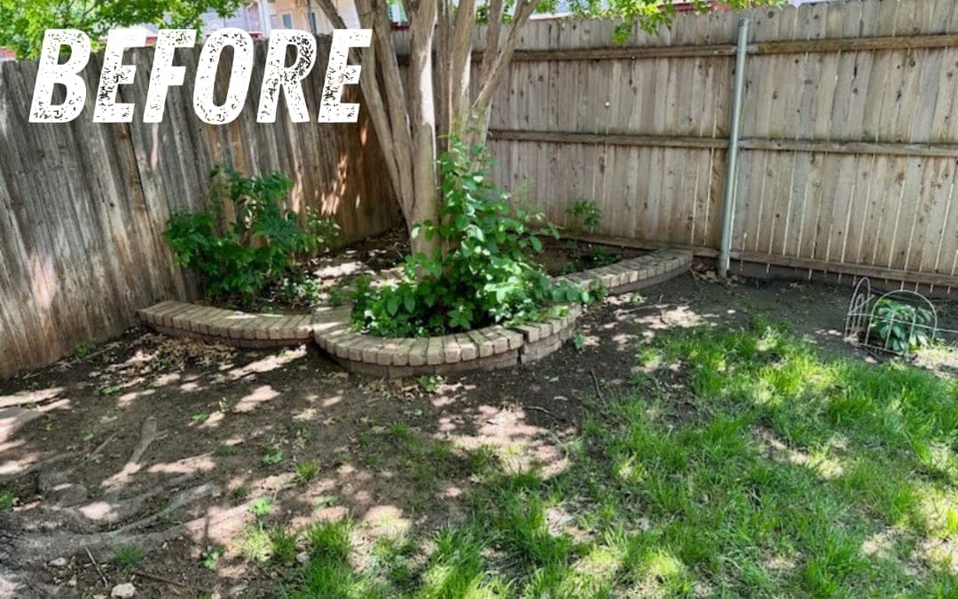 Before: a garden bed and brush along a fence